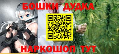 гидропоника Кингисепп