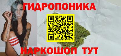 гидропоника Кингисепп