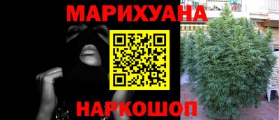 гидропоника Кингисепп