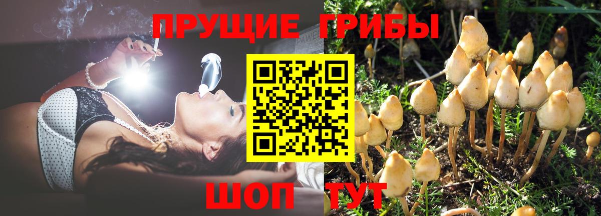 Галлюциногенные грибы мухоморы Кандалакша
