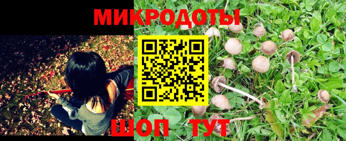 Галлюциногенные грибы прущие грибы  Вход с VPN  Кандалакша 